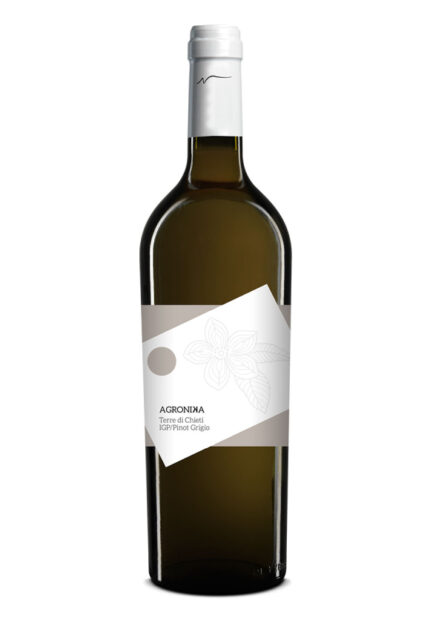 Itališkas vynas AGRONIKA Terre di Chieti IGP/Pinot Grigio